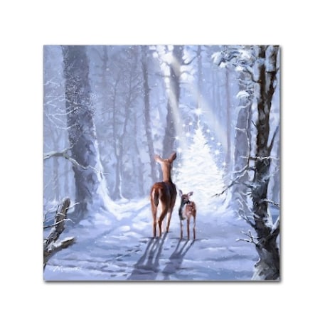 The Macneil Studio 'Christmas Magic' Canvas Art,24x24